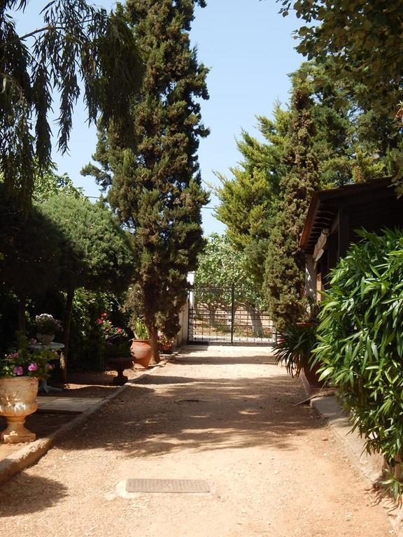 Gallery Basement In Villa Vravrona Markópoulon Exterior foto